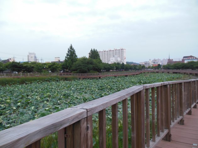 夏の雲泉貯水池の風景